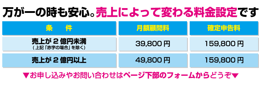 節税お任せパック法人タイプ価格表